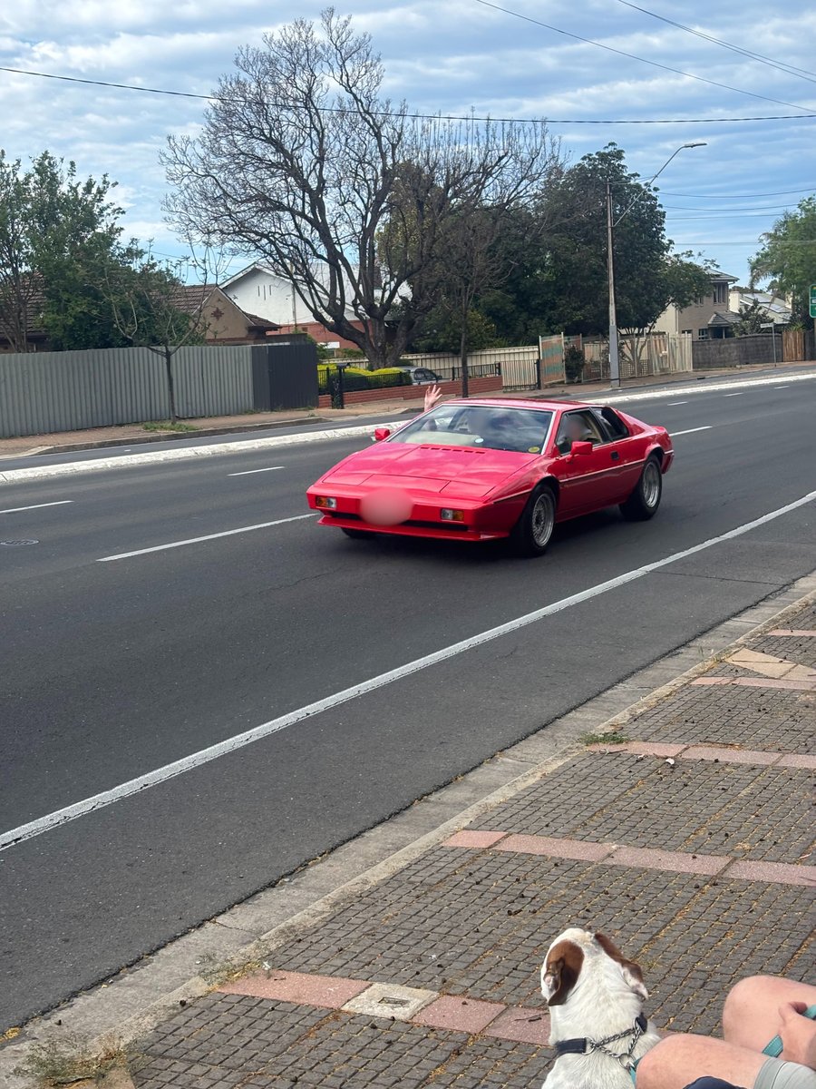 AUS-03-25-1203-006-クラシックカー5