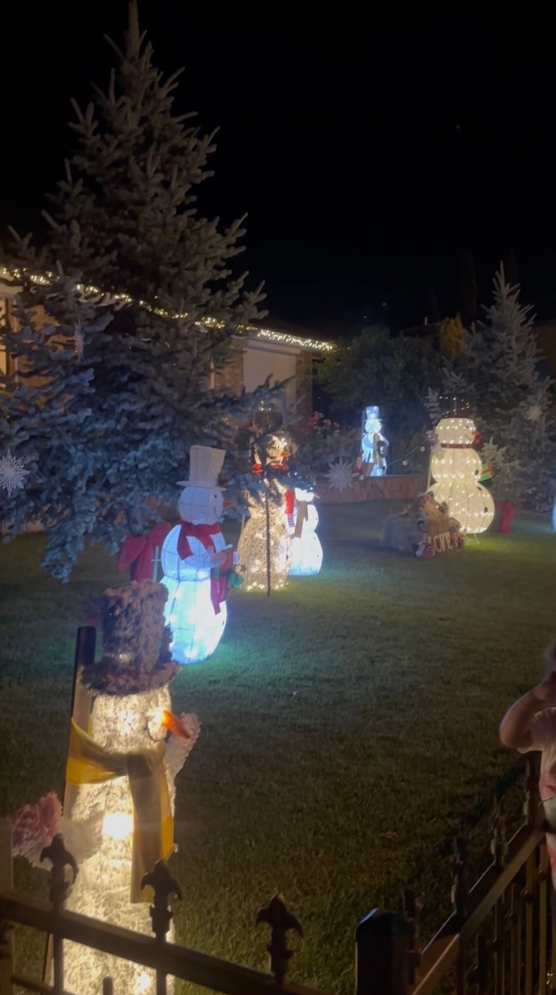 AUS-03-25-1223-005-クリスマスディスプレイ1