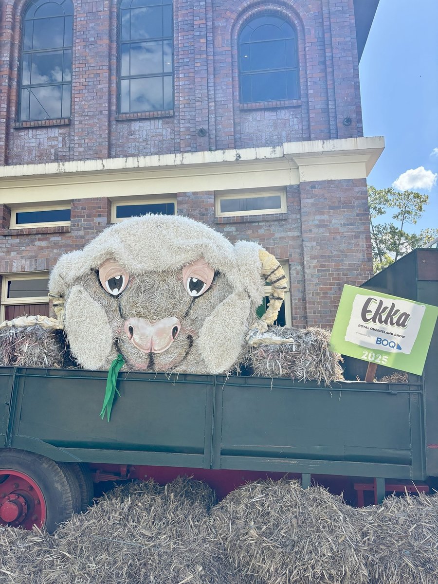 AUS-06-25-1113-01 EKKA2025看板