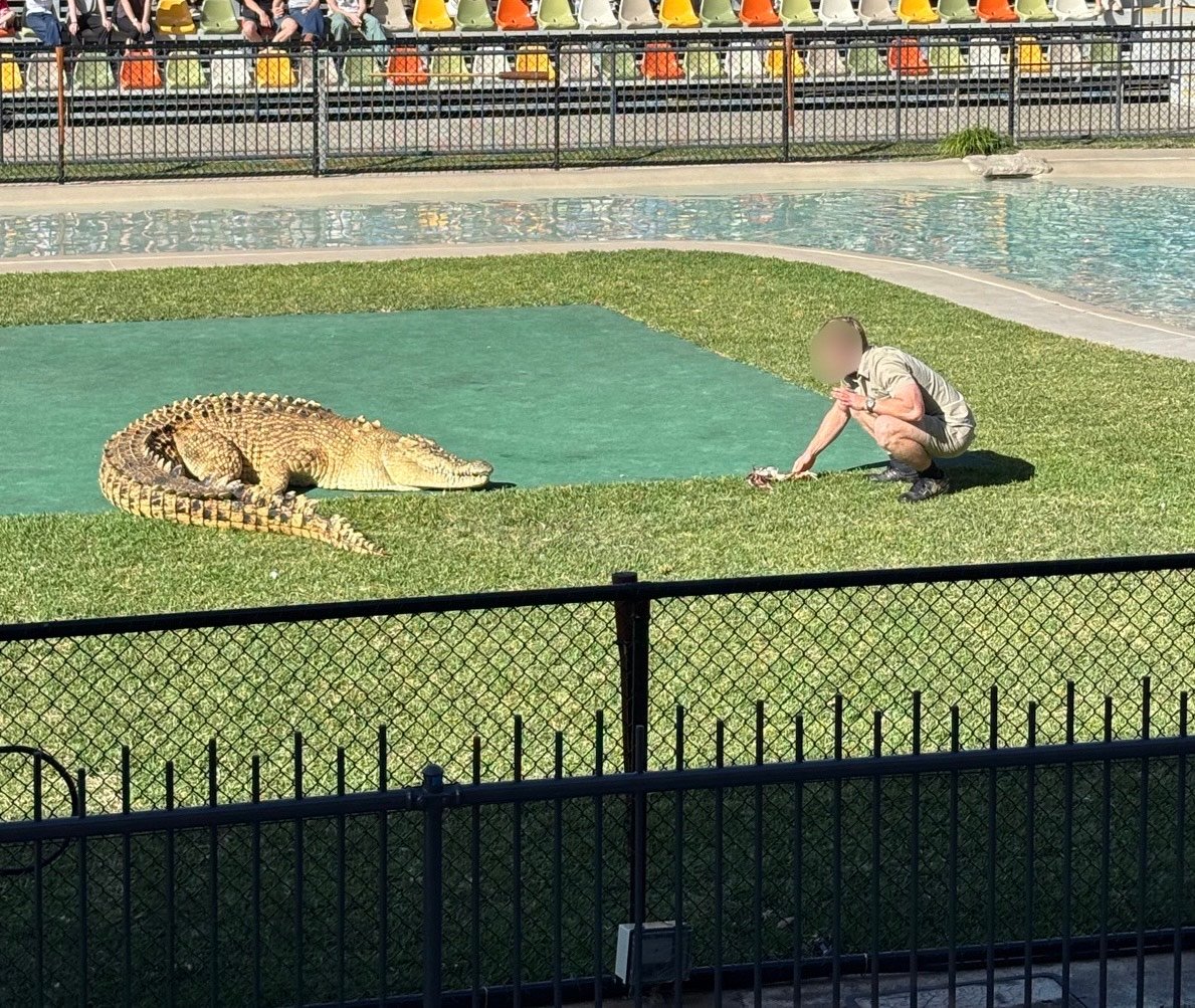 AUS-06-26-0112_ショー