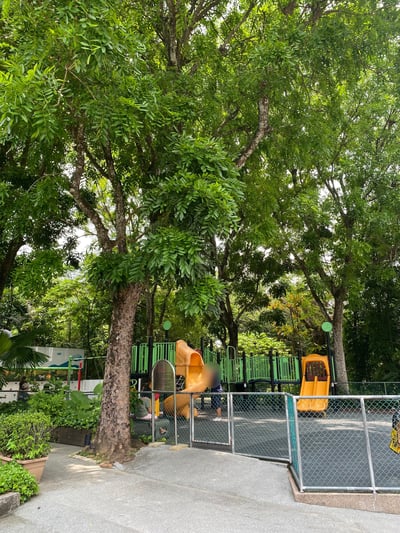 公園
