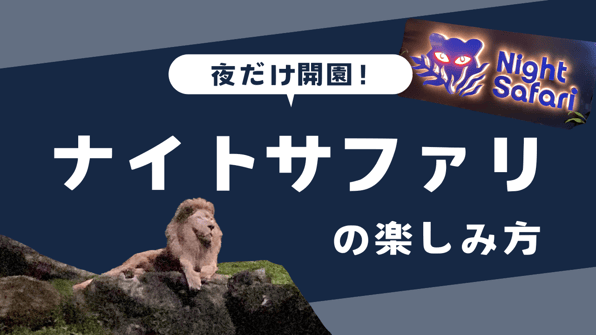 夜だけ開園！ナイトサファリの楽しみ方