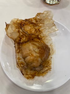 SGP-03-25-0706-004-紙をひらいたペーパーチキン