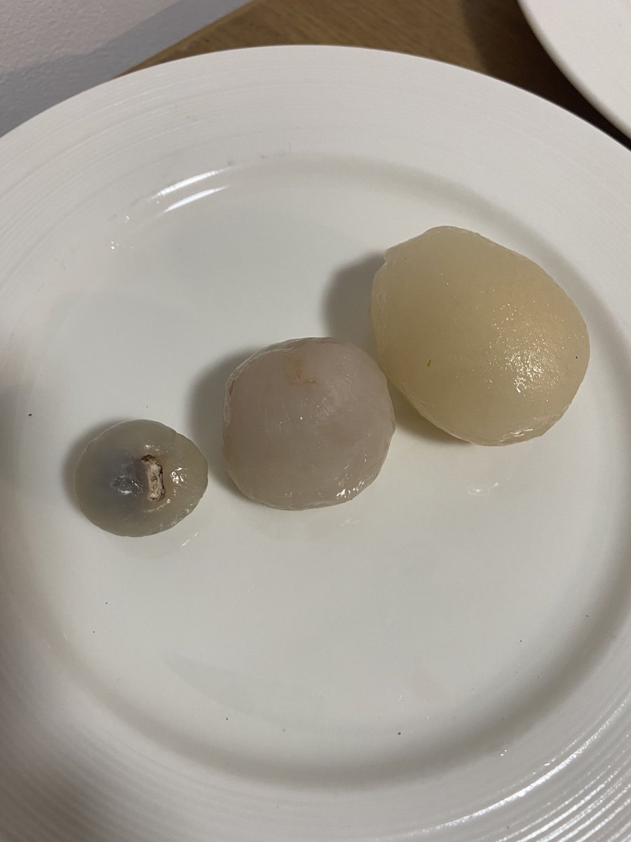 サイズ比べ