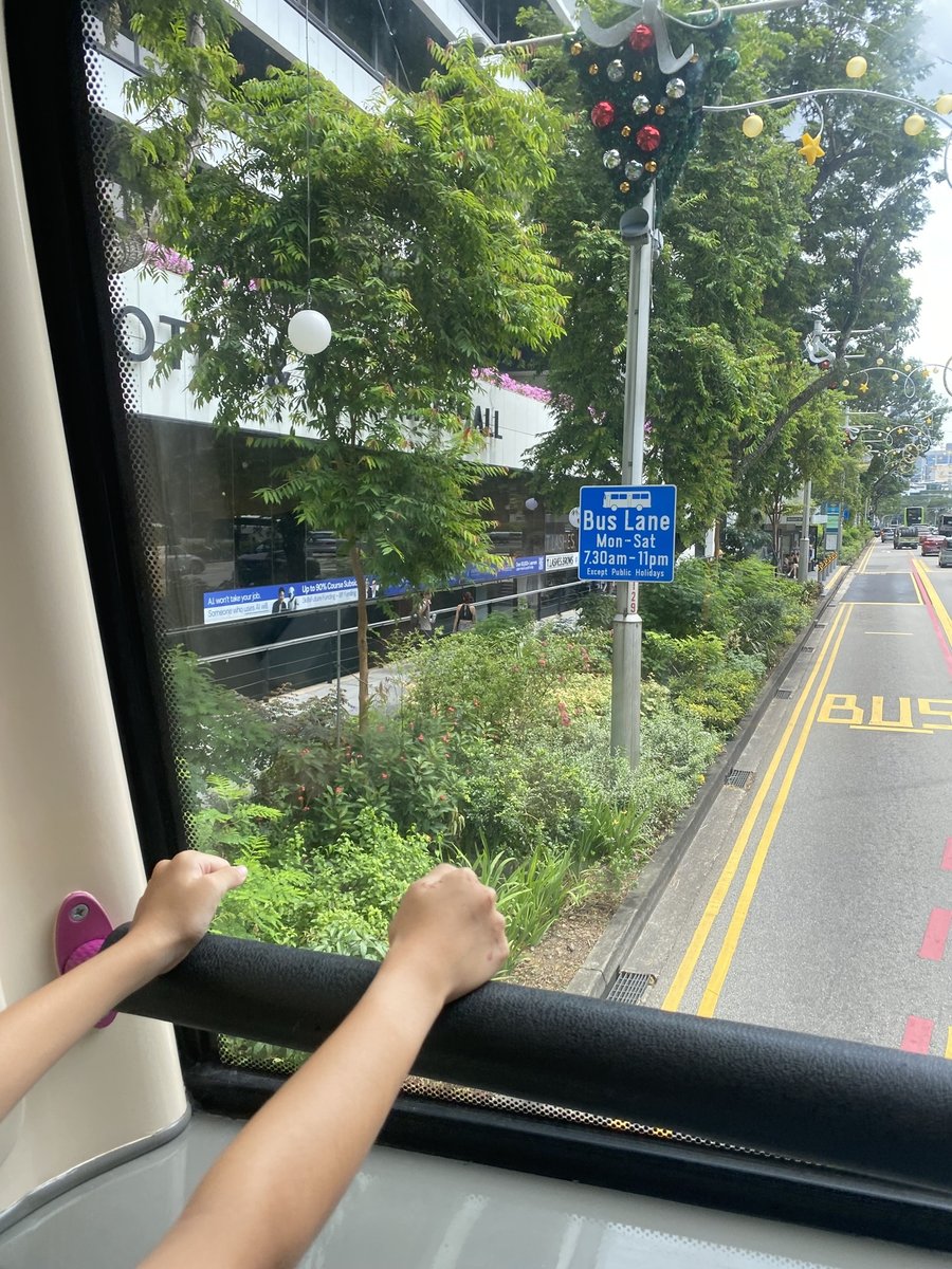 SGP-03-25-1225-008‐運転手気分