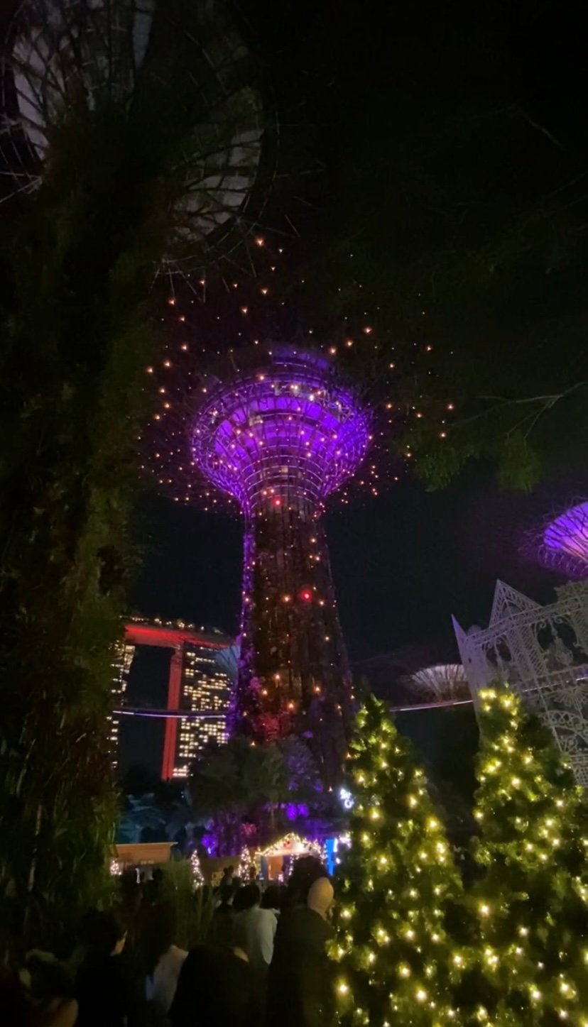 SGP-03-26-0104-001-クリスマス