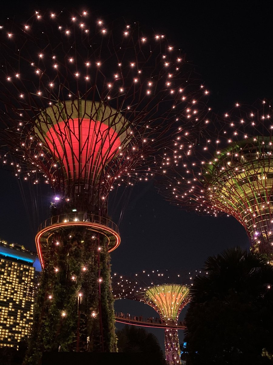 SGP-03-26-0104-003‐芝生エリアからの目線