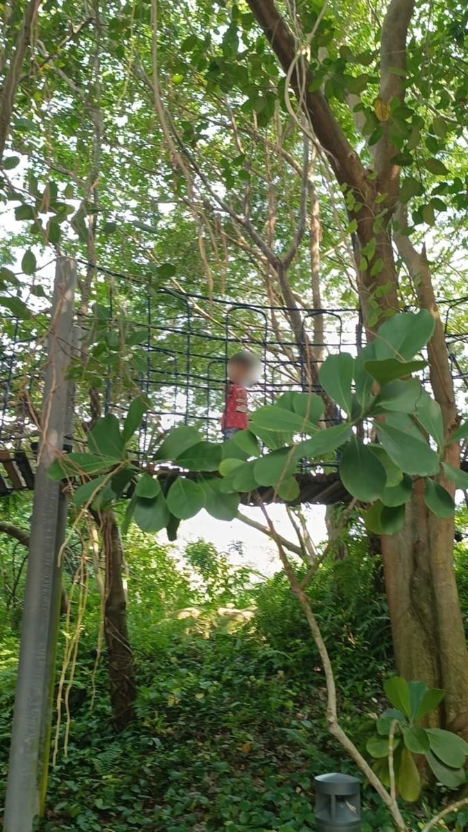 つり橋