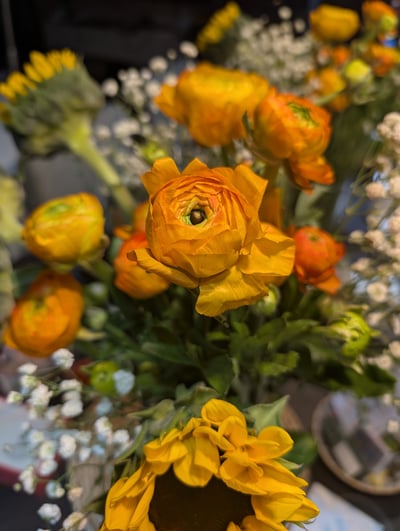購入した花