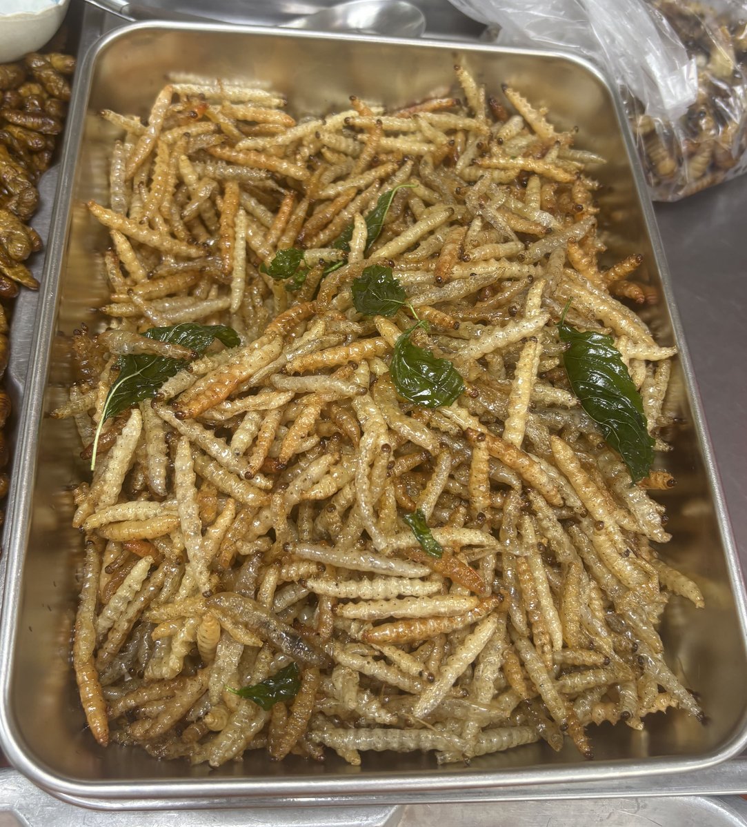 THA-06-26-0128-003タケムシ