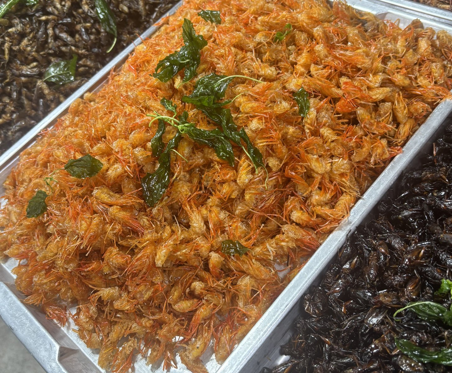 THA-06-26-0128-006 エビの足