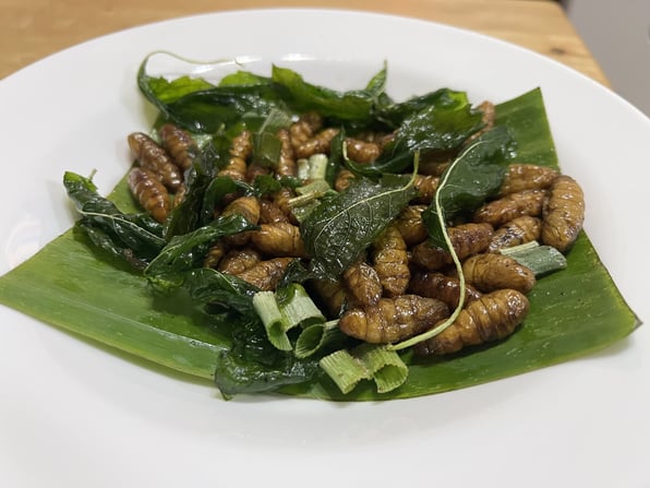 見た目衝撃！タイの昆虫食【知りたい！現地の暮らし】