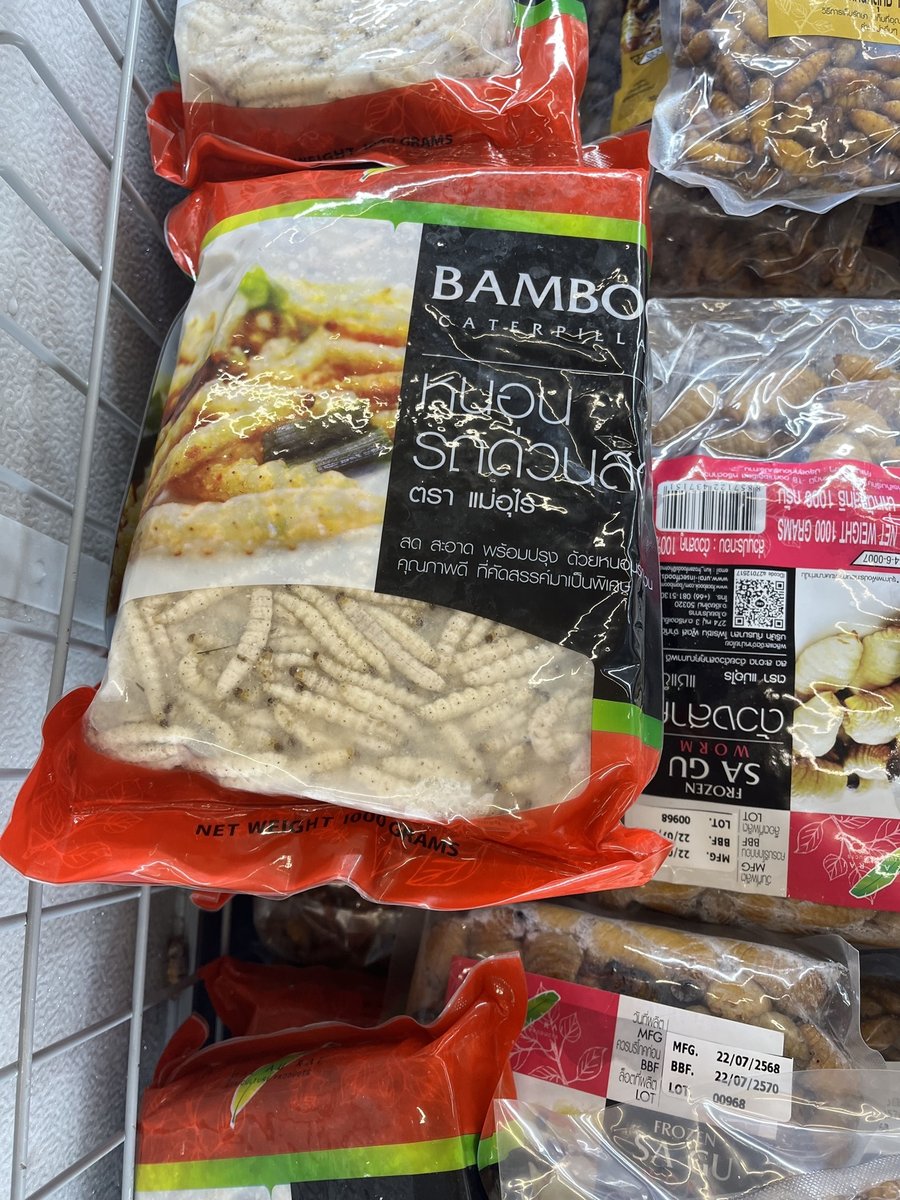 THA-06-26-0128-013冷凍タケムシ