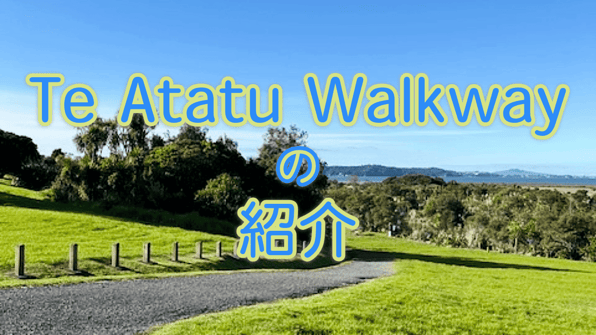 Te Atatu Walkwayの紹介