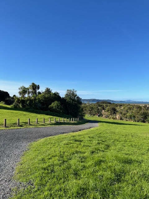 Te Atatu Walkway 風景1