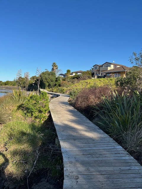 Te Atatu Walkway 風景2