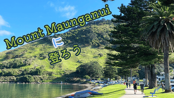 Mount Maunganuiに登ろう