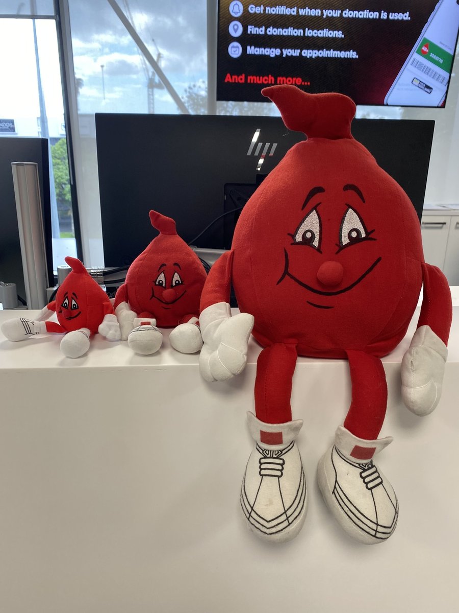 NZL-05-26-0103-000 ぬいぐるみ