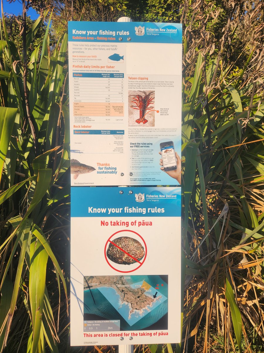 レギュレーション