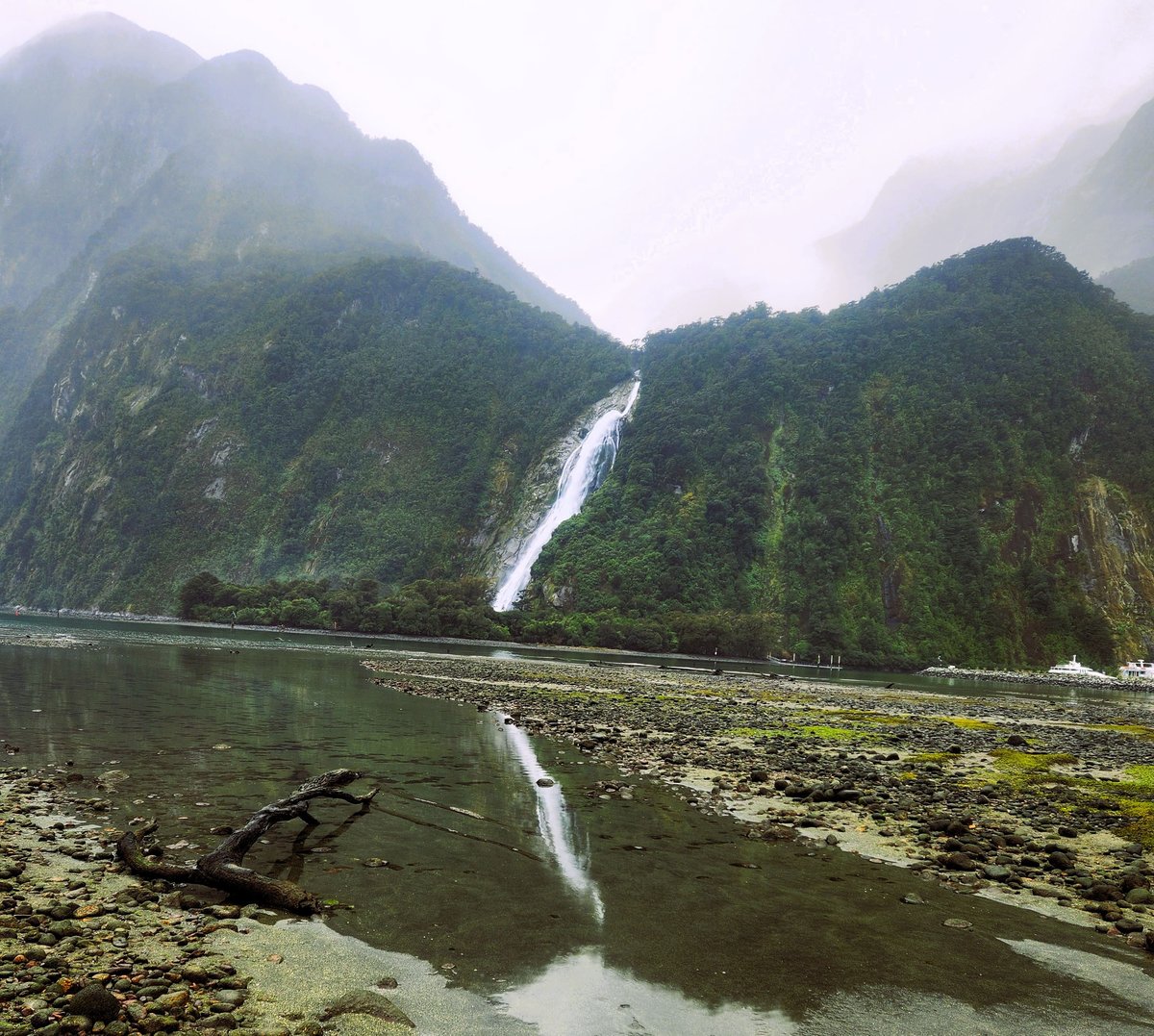 NZL-08-26-0123-001 ボーウェンフォール