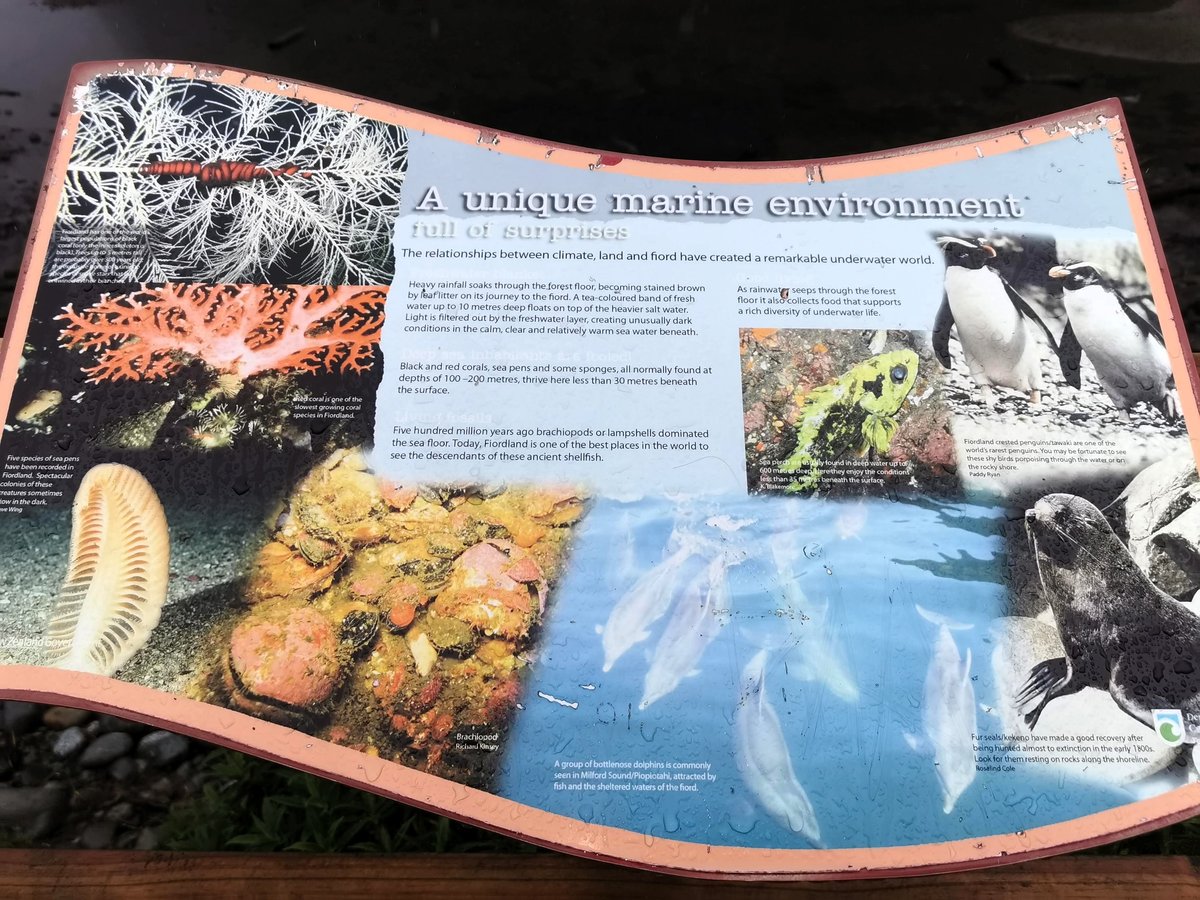 NZL-08-26-0123-003 野生動植物の解説