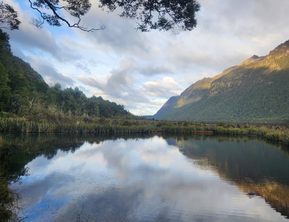 世界遺産 ミルフォードサウンド満喫術