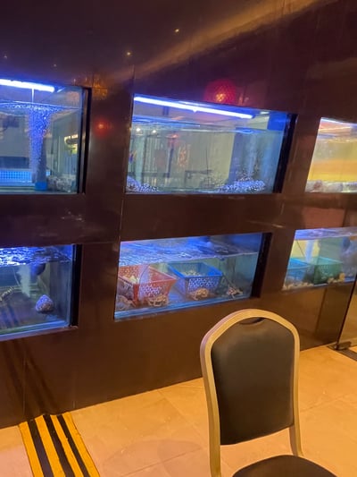 セブ島中華料理レストラン-店内の水槽