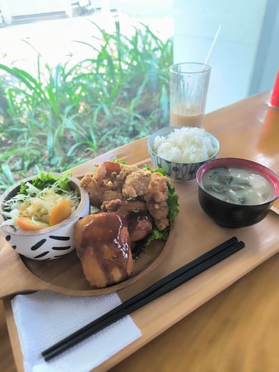 VMN-03-25-0508-006 からあげ