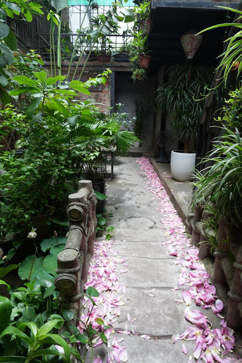 VNM-05-25-1109−005 店内の中庭