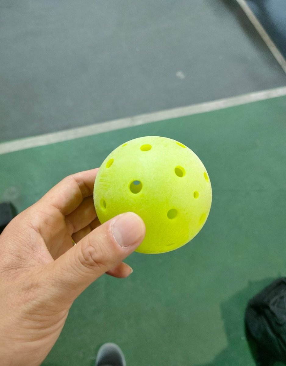 VNM-06-25-1228-004 ピックルボールのボール