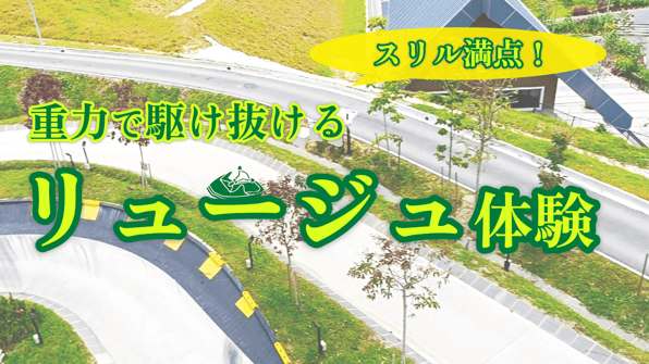 スリル満点！重力で駆け抜ける「リュージュ」体験