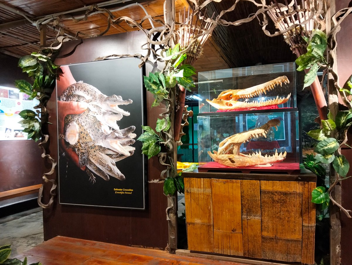 MYS-05-26-0115-005ワニについての博物館