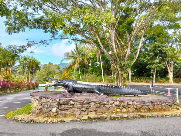 大迫力！サラワク州で巨大なワニに出会う