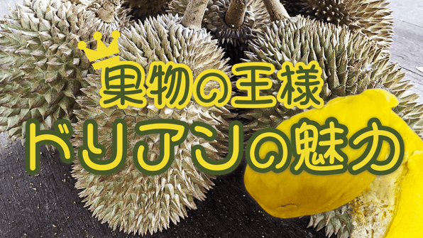 果物の王様ドリアンの魅力