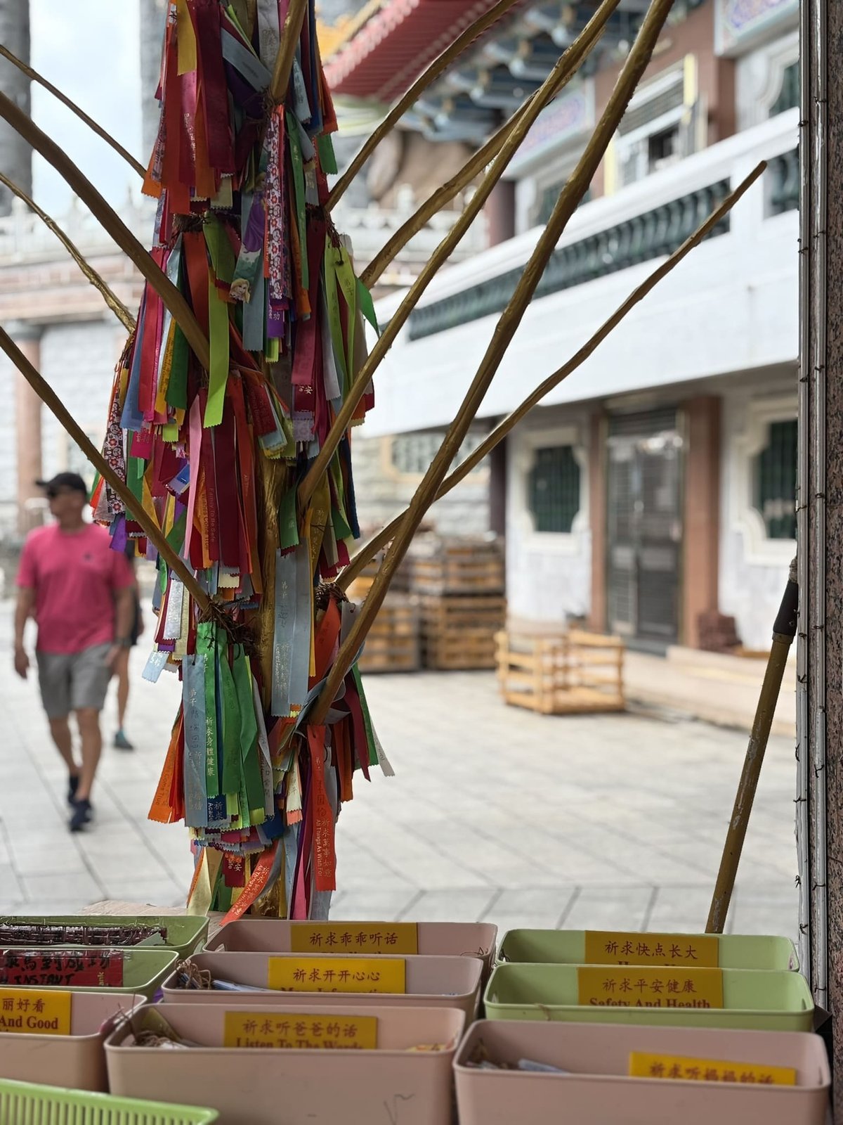 MYS-06-25-1227-008 -短冊