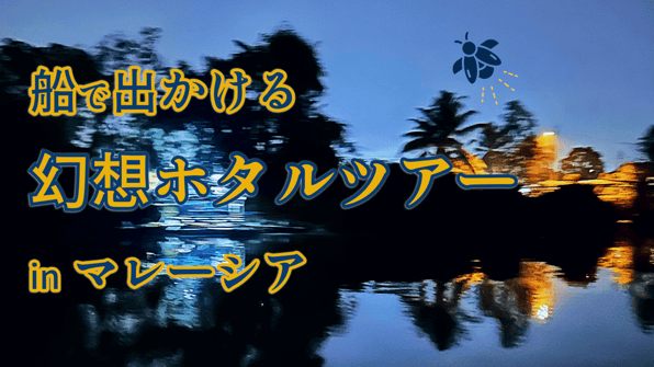 船で出かける幻想ホタルツアー in マレーシア