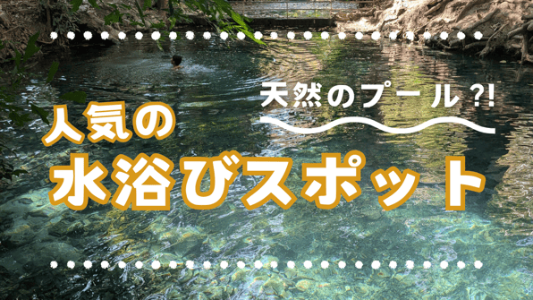 天然のプール？！人気の水浴びスポット【知りたい！現地の暮らし】