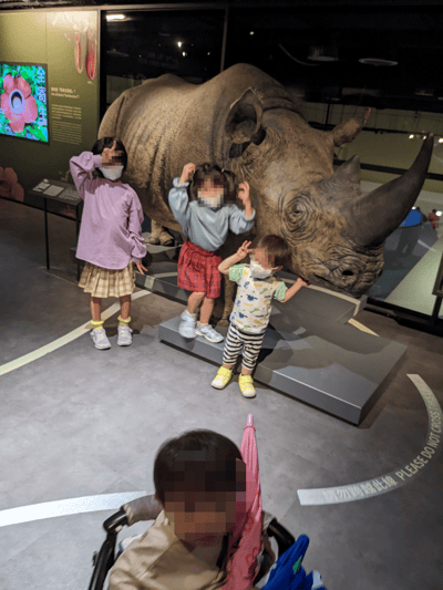 TWN-01-25-0701-003 はくせい