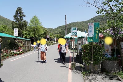 カラー祭り_メインストリート 1