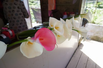 色付きの花