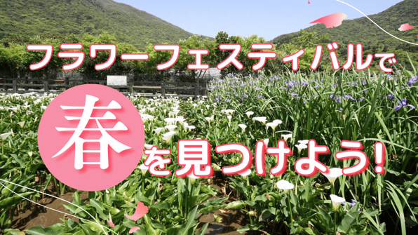 フラワーフェスティバルで春を見つけよう