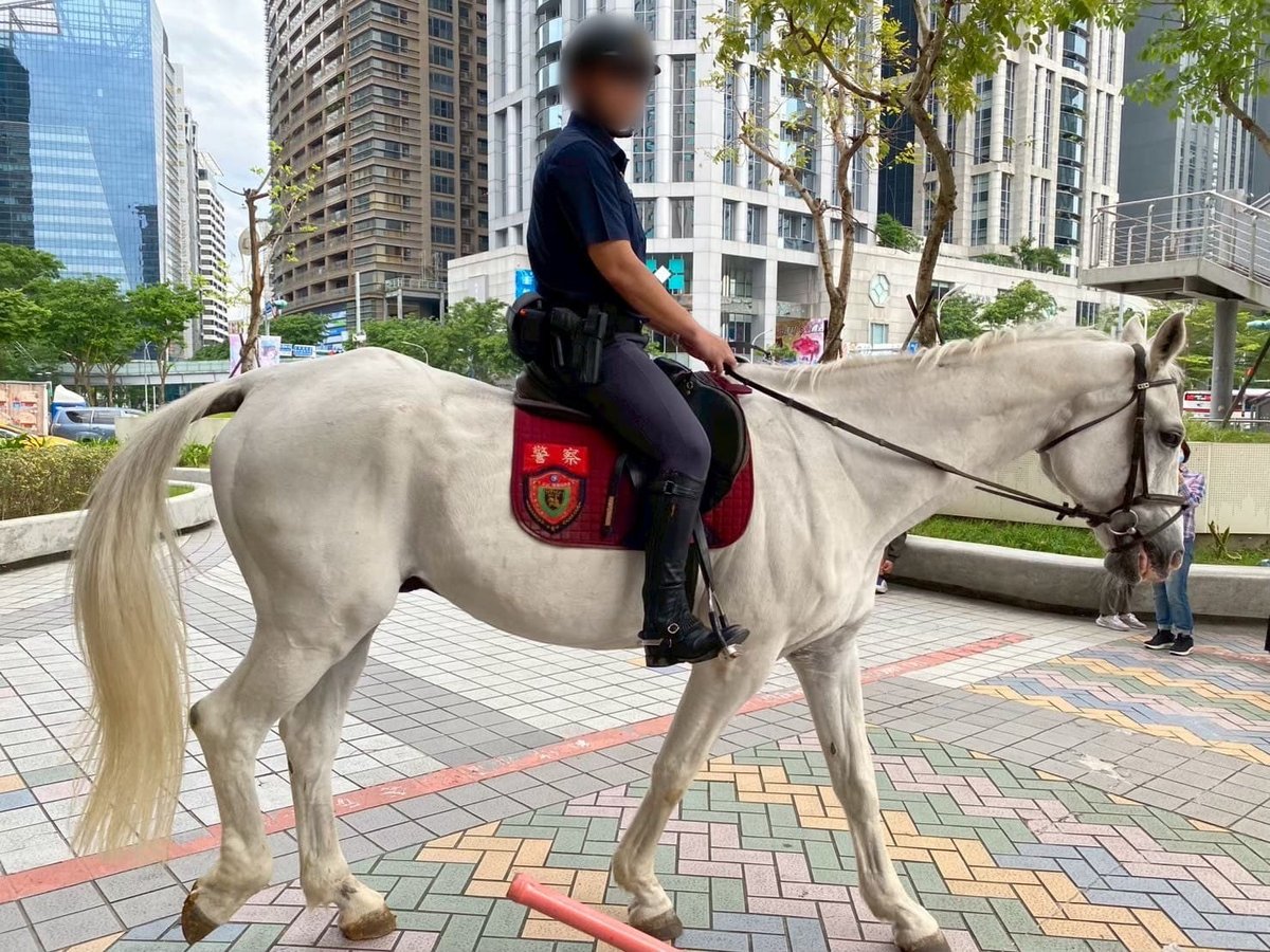 白馬と警察