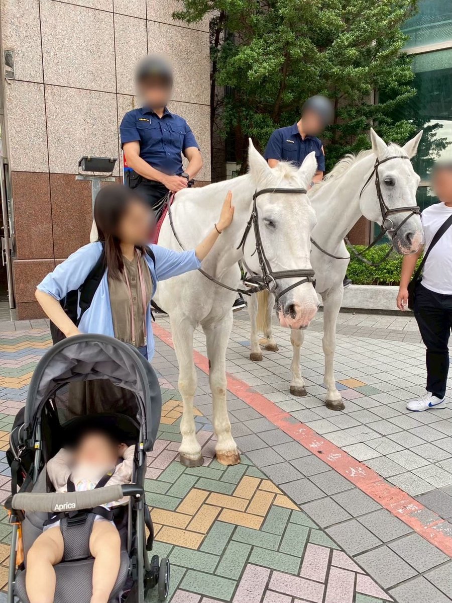白馬にタッチ