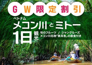 【4/22までの予約完了限定】タイムセール  悠久の大河メコン川とミトー1日観光＜トロピカルフルーツの試食＆小舟でジャングルーズ体験/メコン川名物・象耳魚の昼食付き＞