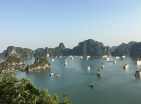 ハロン湾日帰りツアー