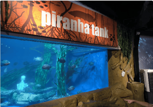KLCC水族館