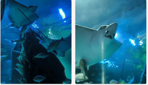 90mの水中トンネル