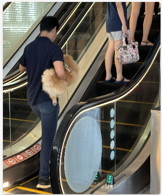 エスカレーター