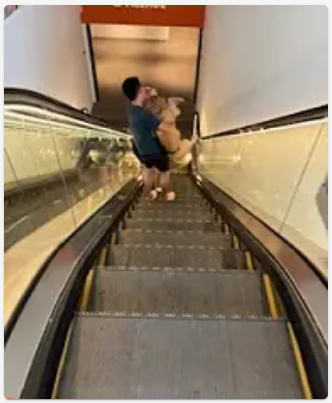 エスカレーター