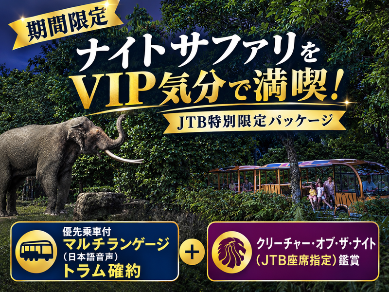 night_safari_vip_banner_800x600